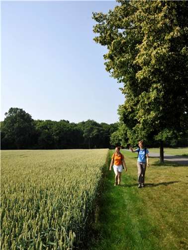 Premiumwandern auf der Eifelleiter – den Wanderer erwartet ein „Zauber der Kontraste“ privat