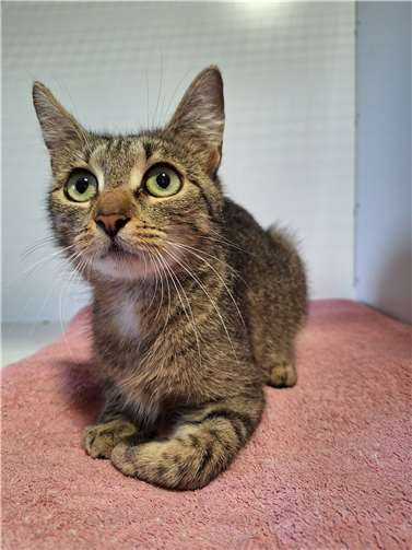 Pretty. Fotos: privat