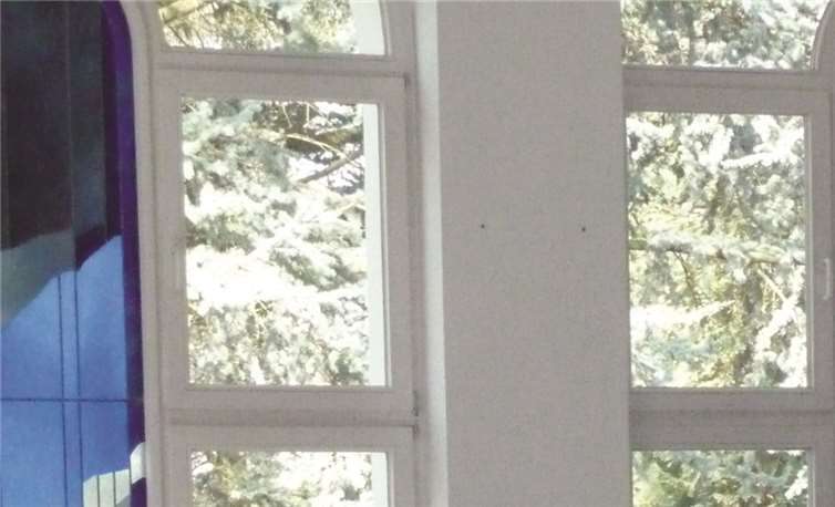 Professor Dr. Heribert Niederschlag zeigte die Aktualität der zehn Gebote anhand von Beispielen auf. privat