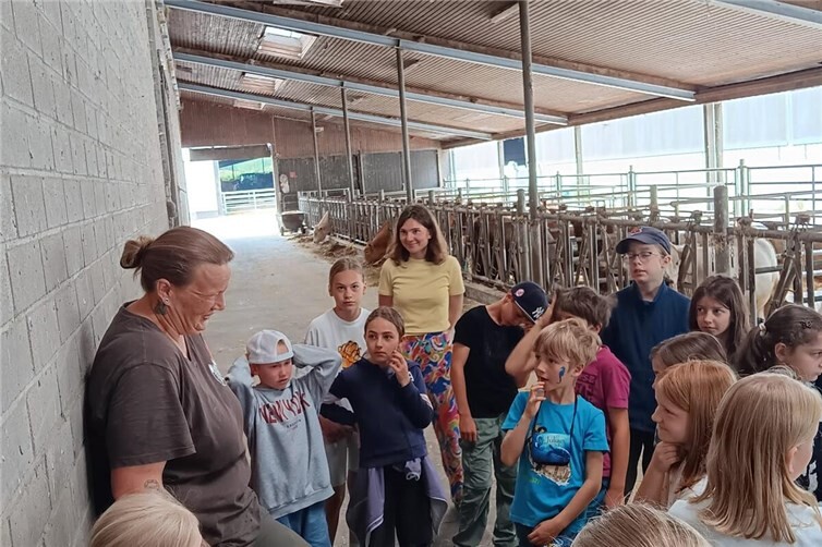 Projekt - Bauernhof