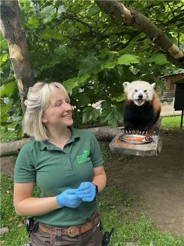 Prophylaxe beim Katzenbär.