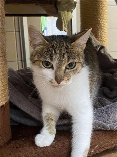Prunella sucht ein neues Zuhause. Foto: privat