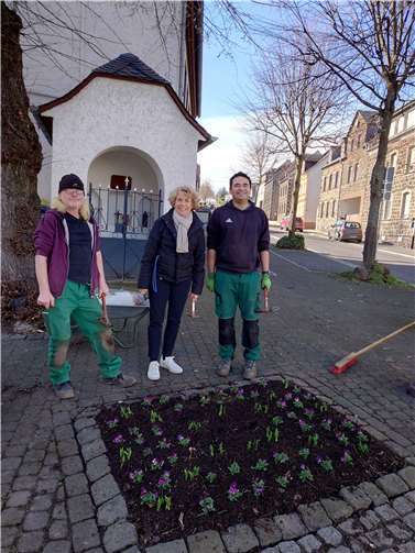 Pünktlich zum Frühlingsanfang wurde das Beet mit bunten Frühblühern bepflanzt. Foto: Andrea Groenert