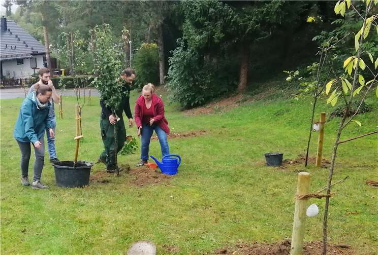 Quelle: Bündnis90/Die Grünen