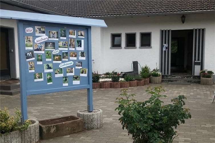 Quelle: Facebook / Tierheim Neuwied