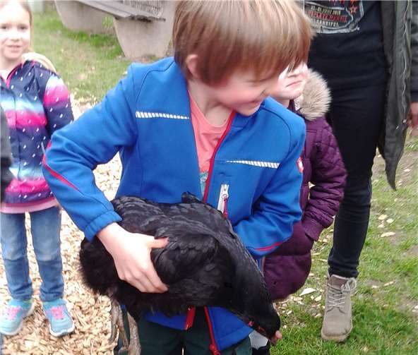 Quelle: Familienbildungsstätte Linz