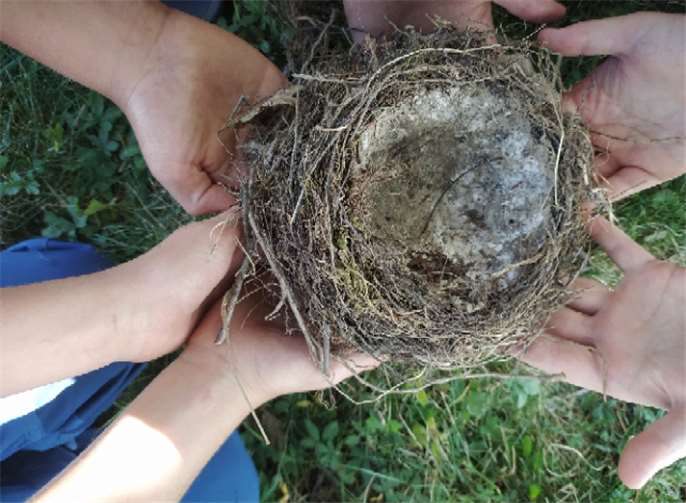 Quelle. Familienbildungsstätte Linz