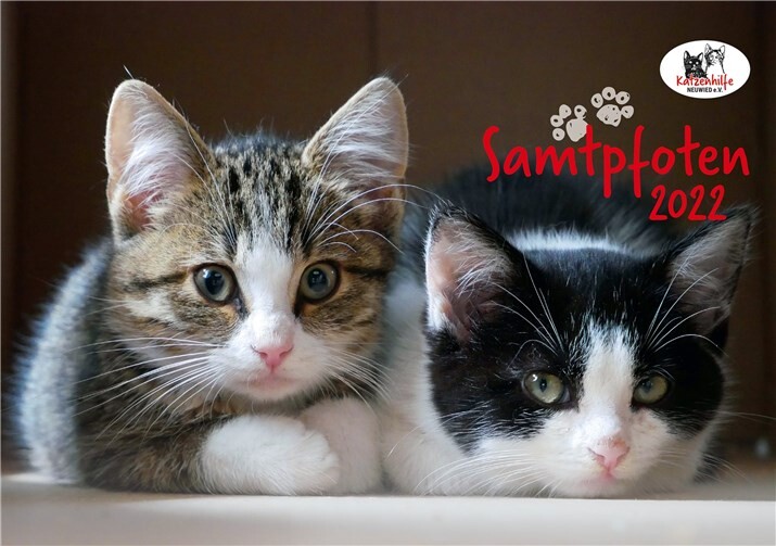 Quelle: Katzenhilfe Neuwied