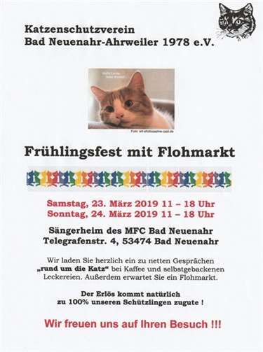 Quelle: Katzenschutzverein Bad Neuenahr-Ahrweiler 1978 e.V.