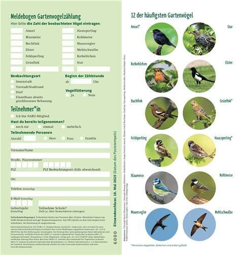 Quelle: NABU Rheinland-Pfalz