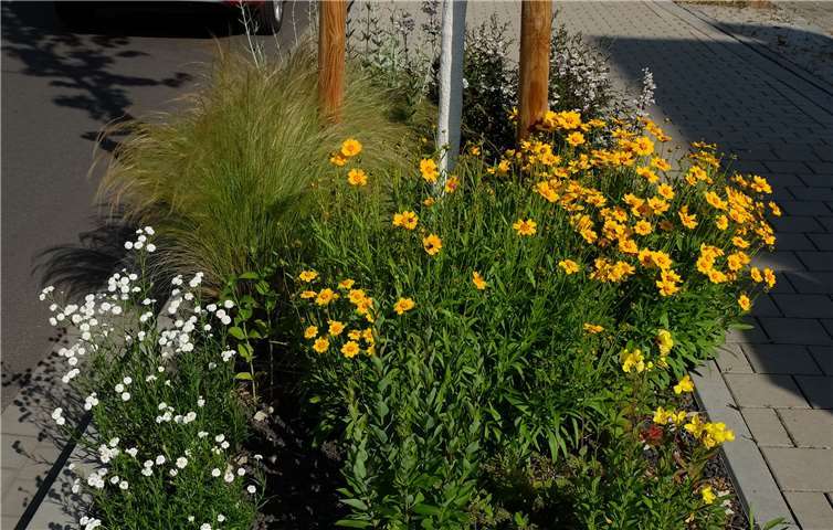 Quelle: Stadt Neuwied