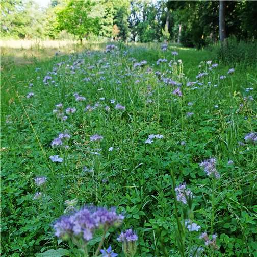 Quelle: Stadt Neuwied