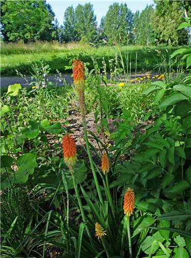 Quelle: Stadt Neuwied