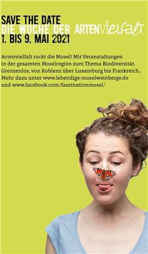 Quelle: Tourist-Information Sonnige Untermosel