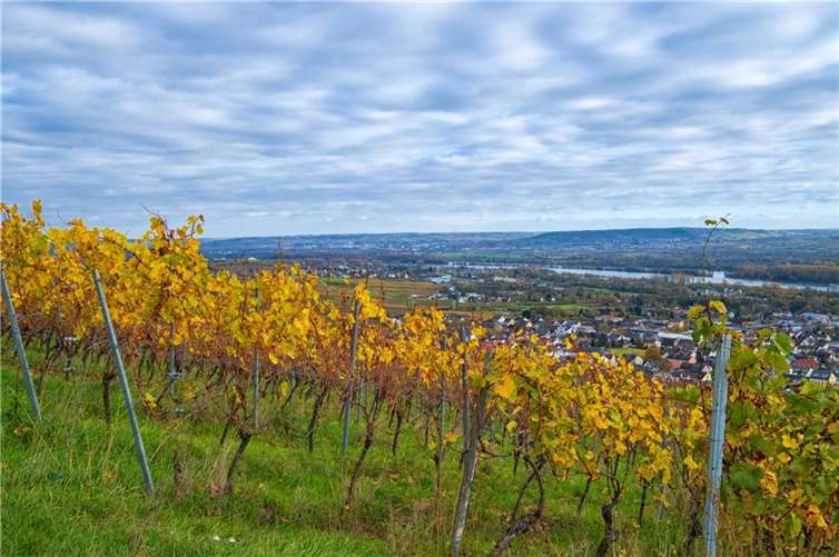 Quelle: @ fotografci – #220777710 / Fotolia.com