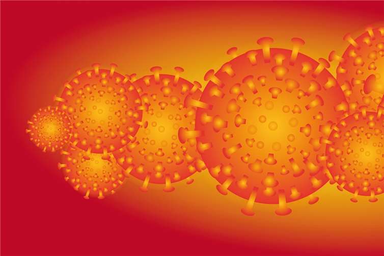 Quelle: iXimus /Pixabay