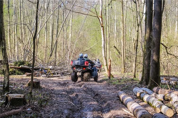 Querfeldein-Fahrten im Wald sind kein Kavaliersdelikt - sie können richtig teuer werden.
