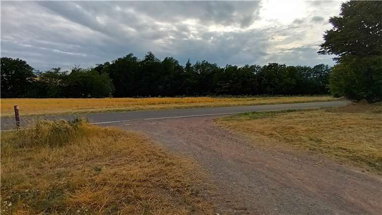 Querung am Aussichtsturm. Quellen: Ortsgemeinde Macken