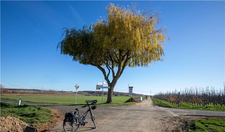 Radfahrer finden in der Region gute Radwegeund schöne Pausenplätze.