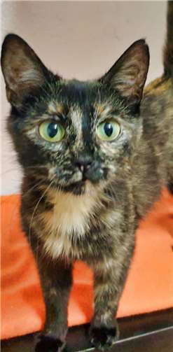 Raica ist eine junge Mutter. Foto: privat