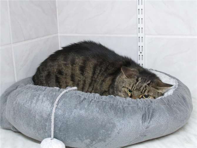 Rain.  Foto: privat