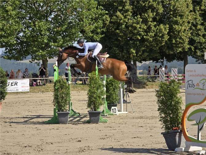 Ralf Jünger auf dem Pferd Carlo.  Foto: privat