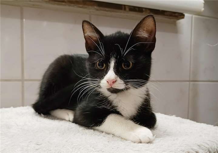 Randy.  Fotos: privat