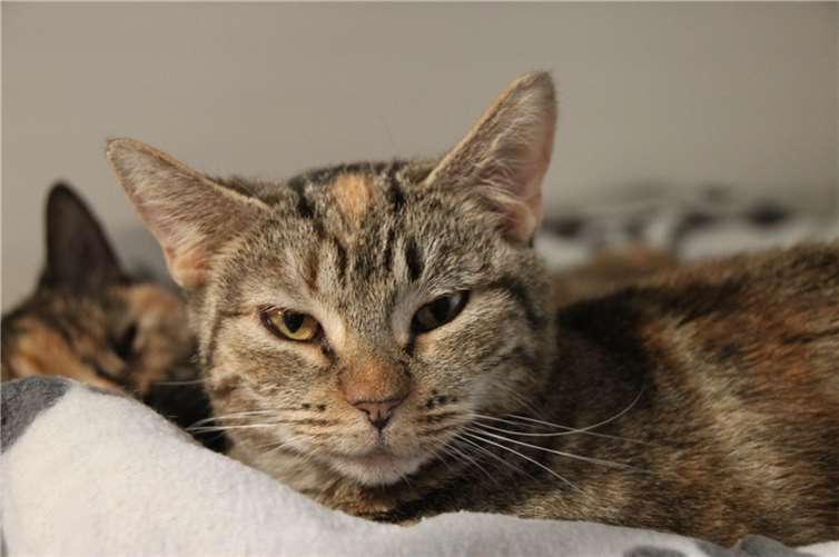 Rani.  Foto: privat