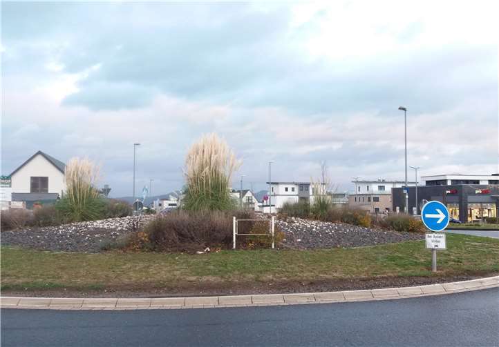 Rasen, Schotterflächen und Pampasgras: Kein Lebensraum für Insekten auf dem Kreisel am Einkaufszentrum in Berkum. Privat