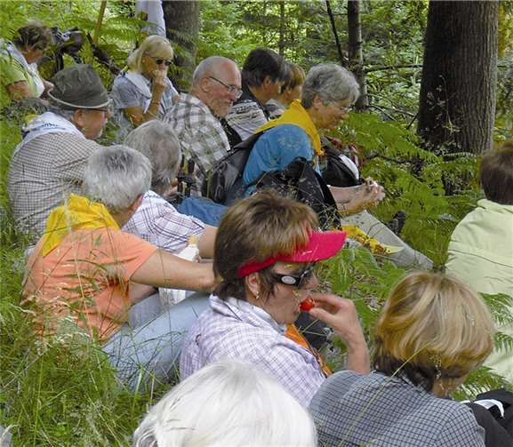 Pilgerweg von Bad Ems nach Schönstatt - voll im Trend Rast auf dem Weg.