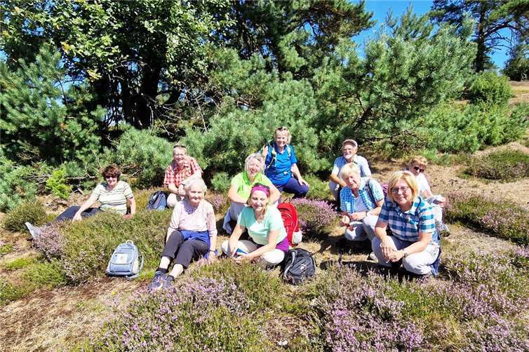 Rast in der Heide- und Wacholderlandschaft.
