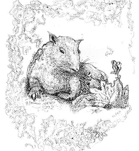"Ratte" von Georg Grimm Eifert. privat