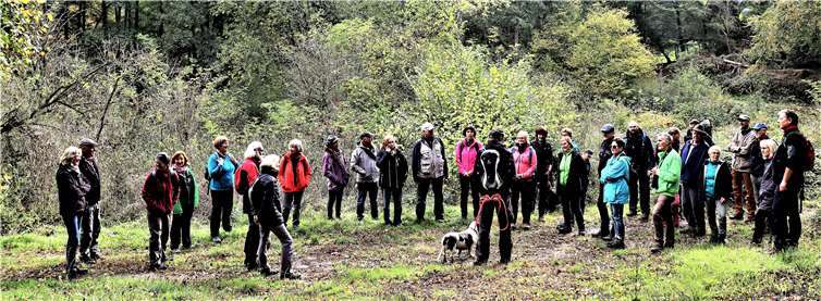 Raus in die heimische Natur will der Westerwald-Verein in der zweiten Jahreshälfte - wie hier bei der letzten Wanderung im Buchfinkenland im Herbst 2020. Foto: WWV