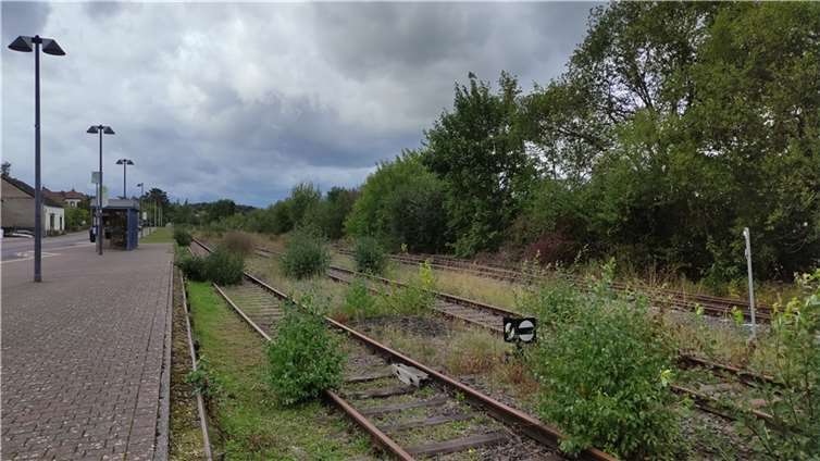 Recht verwildert sehen die Schienen im Ulmener Bahnhof. Foto: privat