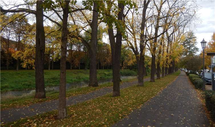 Rechtzeitig zur Landesgartenschau 2022 in Bad Neuenahr-Ahrweiler soll die an der Ahr entlangführende Allee gegenüber dem Kurpark in der Lindenstraße und in der Georg-Kreuzberg-Straße neu gestaltet und nach Ansicht des Stadtrats auch aufgewertet werden.Foto: Archiv/RU