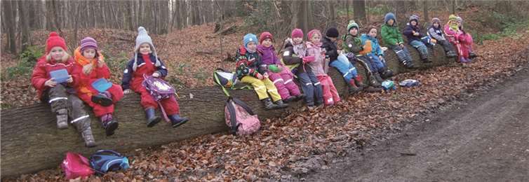 Regelmäßig gibt es Exkursionen in den Wald, hier lernt man den heimatlichen „Lebensraum Natur“ in all seinen Facetten kennen. privat