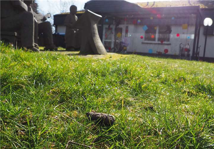 Regelmäßig verrichten die Hunde rücksichtsloser Besitzer vor dem Kindergarten ihre Notdurft. Die wenig hygienischen Hinterlassenschaften gelangen über Schuhe auch ins Innere. Foto: VG Mendig