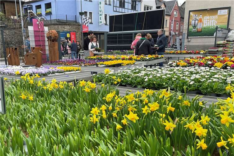 Regenzuspruch fanden die Angebote zur frühlingshaften Gartendekoration.