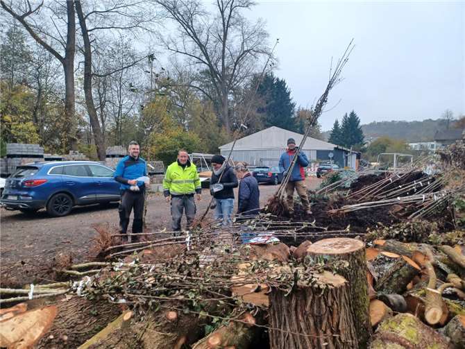 Reges Kommen und Gehen herrschte beim Bauhof in Montabaur, als die Bürger ihre neuen Bäume abholten. Viele hatten ihre Kinder mitgebracht, die interessiert das verfolgten, wie Bäume auf die Autos und Anhänger geladen wurden.  Foto: VG Montabaur / Christina Weiß