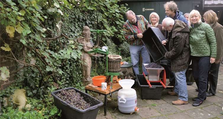 Reichlich Ausbeute hatte man bei der Weinlese im Hause Willms. -AB-