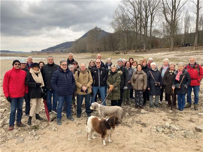 Rekordbeteiligung bei der Abschlusstour von Wanderwart Josef „Juppi“ Schneider (rechts) am trockenen Rheinufer mit Drachenfels im Hintergrund.