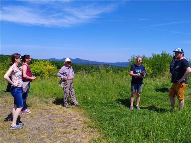 Remagener GRÜNE auf der ehemaligen Mülldeponie des Kreises Ahrweiler in Unkelbach/Oedingen. Foto: BÜNDNIS 90/DIE GRÜNEN Ortsverband Remagen