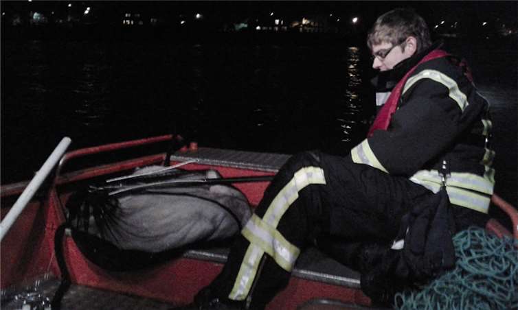 Rettungsaktion des verletzten Schwans durch die Kripper Feuerwehr. privat