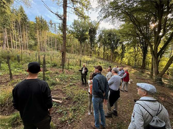 Revierförster Christoph Kirst erläutert die Planung von Durchforstungsmaßnahmen im Stadtwald.  Foto: Jan Ermtraud