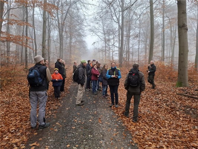 Revierförster Christoph Kirst erläutert eine abgeschlossene Holzerntemaßnahme im Rheinbrohler Wald.  Foto: Oliver Labonde