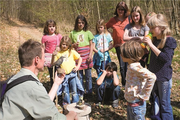 Revierförster Frank Krause richtet eine Erlebniswanderung für Familien mit Kindern im Alter von fünf bis zwölf Jahren aus. Wolfgang Tischler