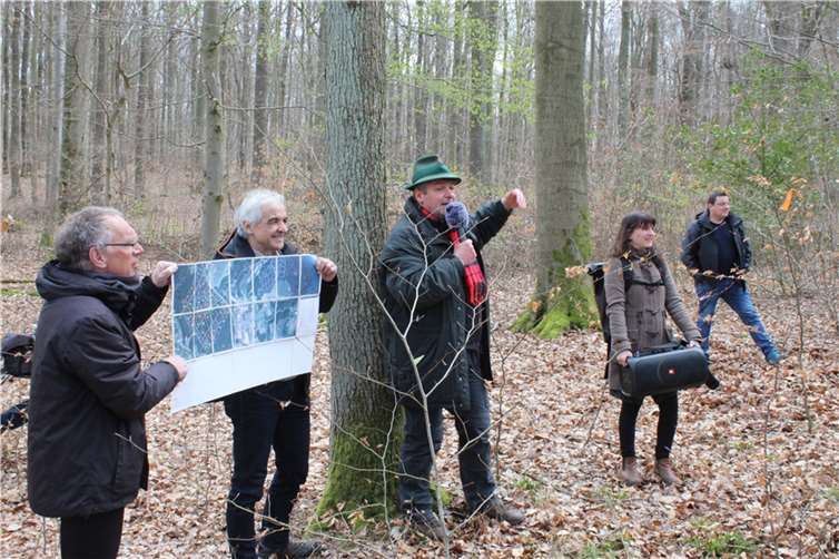 Revierförster Stephan Braun (3.v.li.) und Klimaschutzmanagerin Clarissa Figura (2.v.re.) informierten die interessierten SinzigerInnen. Fotos: Stadtverwaltung Sinzig