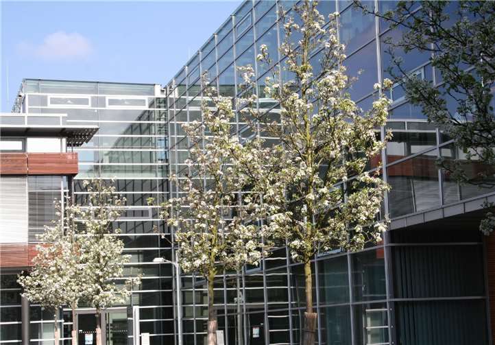 RheinAhrCampus der HS Koblenz Remagen im Frühling. Foto: Privat