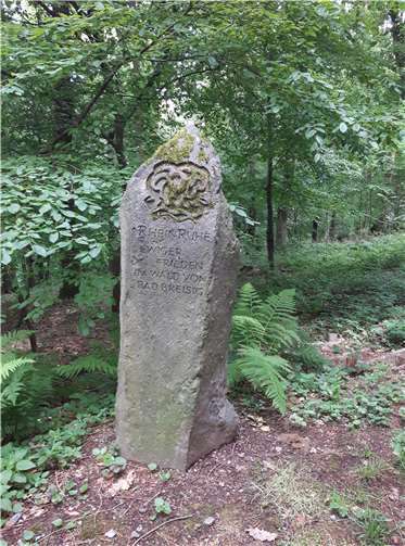 RheinRuhe. Ewige Ruhe im Wald.