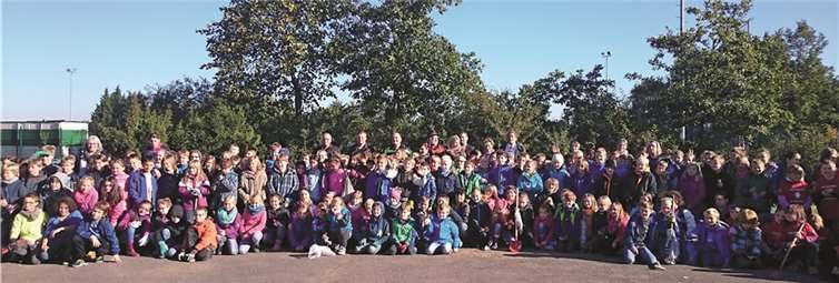 Rheinbach. In Rheinbach selbst kürzlich als Auftaktveranstaltung der örtlichen KiKuKi-Projekte eine große Pflanzaktion statt, die vom Glasmuseum initiiert und von der Regionalverkehr Köln Gmbh unterstützt wurde. 200 Schüler aus Rheinbach (GGS Sürster Weg), Merzbach und Wormersdorf nahmen daran teil. Die Kinder wurden von dem Stellvertretenden Bürgermeister Karl-Heinrich Kerstholt begrüßt. Stadtförster Sebastian Tölle und seine Mitarbeiter hatten die Aktion vorbereitet und gaben den Kindern Hilfestellung, die Rheinbacher Feuerwehr war ebenfalls anwesend (bis sie zu einem Einsatz in Richtung Autobahn ausrücken musste, wo es heftig qualmte). Jedes Kind hat – bei strahlendem Wetter - mehrere Bäume und Sträucher gepflanzt. Die heute Pflanzaktion ist der erste Teil von drei aufeinander aufbauenden Projektteilen: Nähere Infos dazu unter www.glasmuseum-rheinbach.de sowie von Bozena Yazdan, Tel. (0 22 26) 91 75 04. .privat